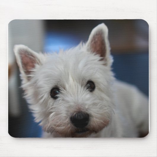 Ultra Cute Pestie Westie White Terrier Muismat (Voorkant)