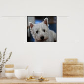 Ultra Cute Pestie Westie White Terrier Poster (Keuken)