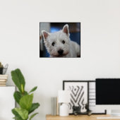 Ultra Cute Pestie Westie White Terrier Poster (Thuiskantoor)