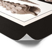 Ultra Elegant Vintage Art Deco Zee Shell Poster (Hoek)