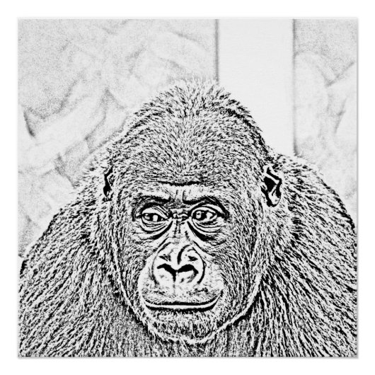 ultra-sketch gorilla perfect poster (Voorkant)