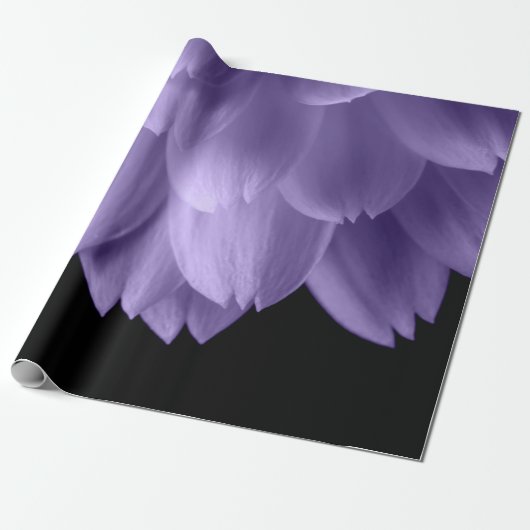 Ultra violet paars bloemblad zwart cadeaupapier (Uitgerold)