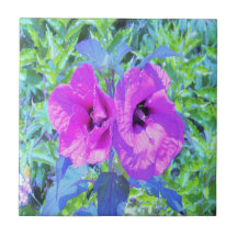 Ultra-Violette Plum Crazy Paarse Hibiscus Bloemen