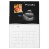Ultrasound Afbeeldingen Agenda Kalender (Jan 2027)