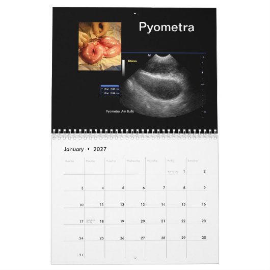 Ultrasound Afbeeldingen Agenda Kalender (Jan 2027)
