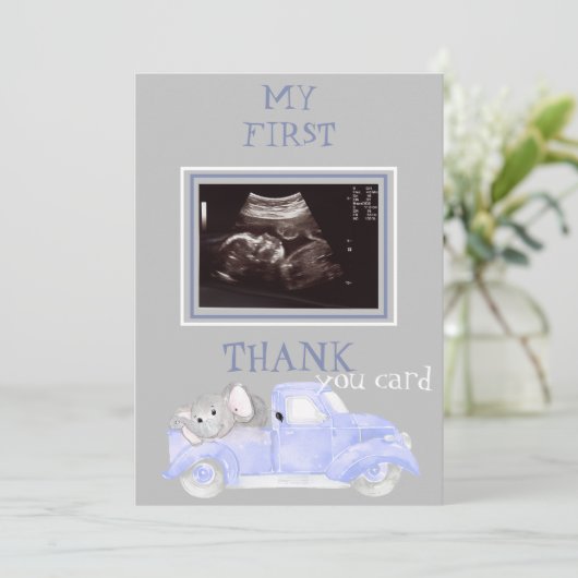 Ultrasound foto Truck Bedankt Baby Point of Uitzic (Staand voorkant)