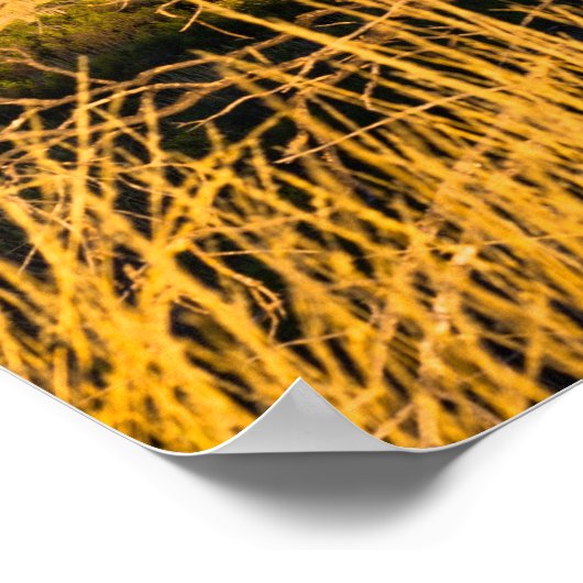 Uluru Ayers Rock in het buitenland Australië Poster (Hoek)