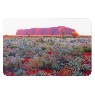 uluru magneet