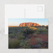 Uluru Sunrise en Desert Flora Briefkaart (Voorkant / Achterkant)