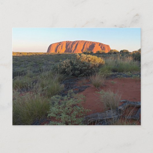Uluru Sunrise en Desert Flora Briefkaart (Voorkant)