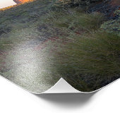 Uluru Sunrise en Desert Flora Foto Afdruk (Hoek)