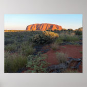 Uluru Sunrise en Desert Flora Poster (Voorkant)