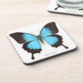 Ulysses Butterfly Bier Onderzetter (Linkerzijde)