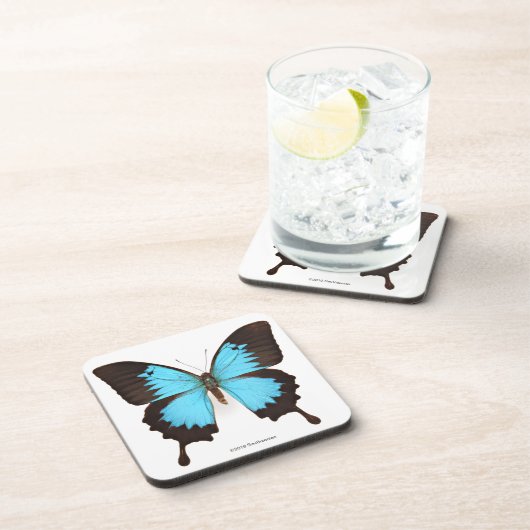 Ulysses Butterfly Bier Onderzetter (Rechterzijde)