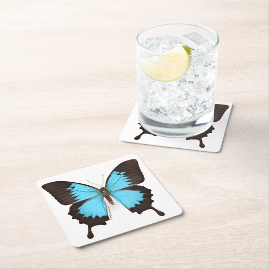 Ulysses Butterfly Kartonnen Onderzetters (Insitu)