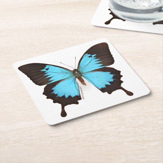Ulysses Butterfly Kartonnen Onderzetters (Schuin)