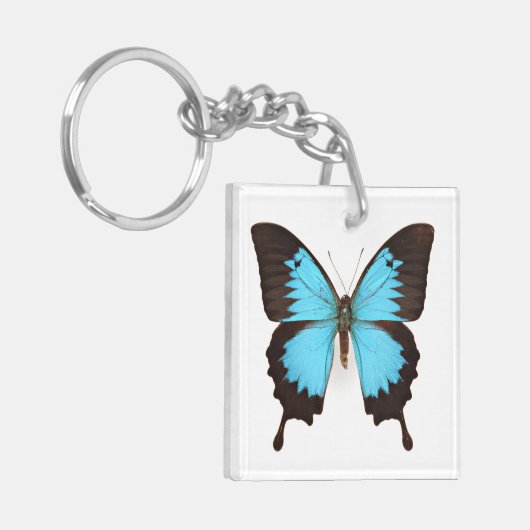 Ulysses Butterfly Sleutelhanger (Voorkant Links)