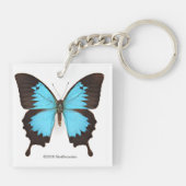 Ulysses Butterfly Sleutelhanger (Achterkant)