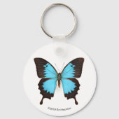 Ulysses Butterfly Sleutelhanger (Voorkant)