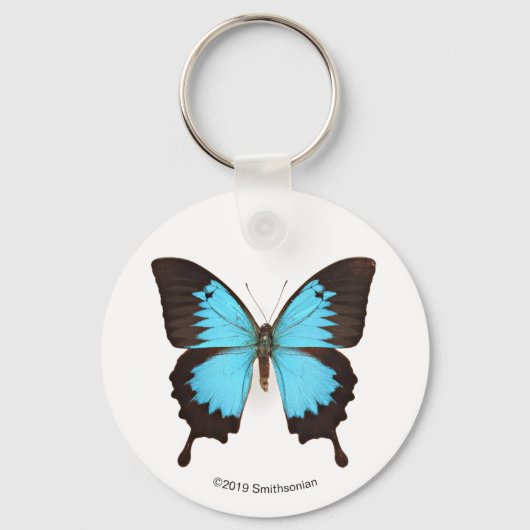Ulysses Butterfly Sleutelhanger (Voorkant)