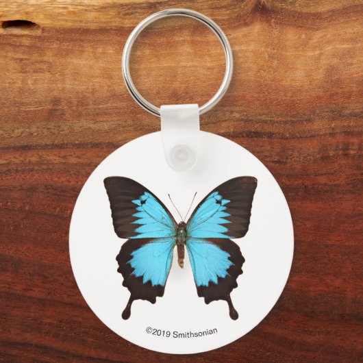 Ulysses Butterfly Sleutelhanger (Voorkant)