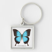 Ulysses Butterfly Sleutelhanger (Voorkant)