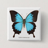 Ulysses Butterfly Vierkante Button 5,1 Cm (Voorkant)