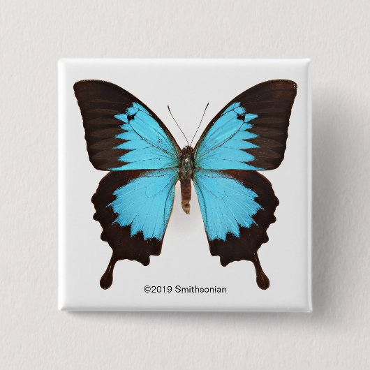 Ulysses Butterfly Vierkante Button 5,1 Cm (Voorkant)