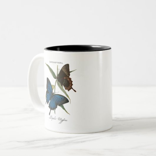 Ulysses vlinder tweekleurige koffiemok (Voorkant links)