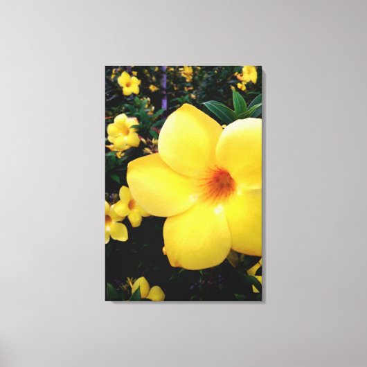 Uma alamanda canvas afdruk (Voorkant)