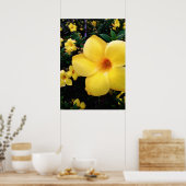 Uma alamanda poster (Keuken)