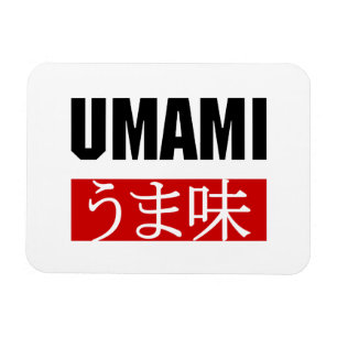 UMAMI う ま 味 MAGNEET
