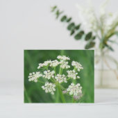 Umatilla Oregon Flora Planten botany Briefkaart (Staand voorkant)