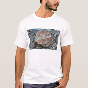 Umatilla Oregon Geology Rocks Earth History Stone T-shirt
