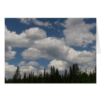 Umatilla Oregon Landscape Skyscape Waterscape