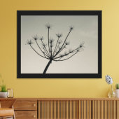 Umbellifer Flower in Winter Canvas Print (Insitu (Woonkamer))
