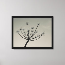 Umbellifer Flower in Winter Canvas Print