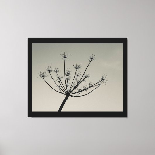 Umbellifer Flower in Winter Canvas Print (Voorkant)