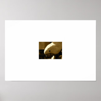 Umbrella Coakatoo Poster