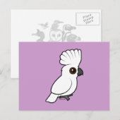 Umbrella Cockato (getogen) Briefkaart (Voorkant / Achterkant)
