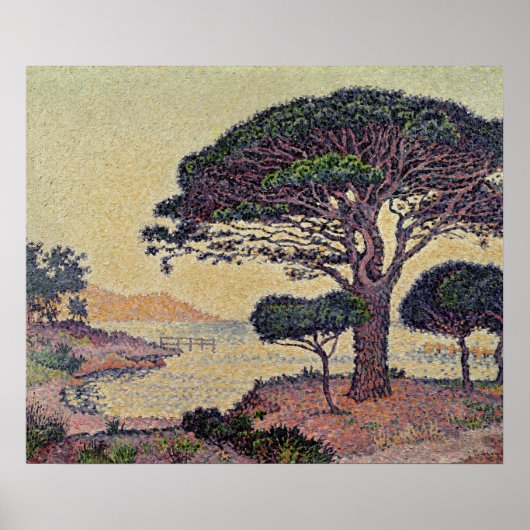 Umbrella Pines at Caroubiers, 1898 Poster (Voorkant)
