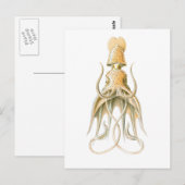 Umbrella Squid Briefkaart (Voorkant / Achterkant)