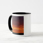 Umbrella Thorn Acacia, Acacia tortilis, 2 Mok (Voorkant links)