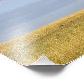 Umbrella Thorn Acacia, Acacia tortilis, and Foto Afdruk (Hoek)