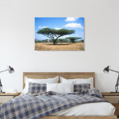 Umbrella Thorn Acacia (Acacia tortilis), Mkuze Canvas Afdruk (Insitu (Slaapkamer))