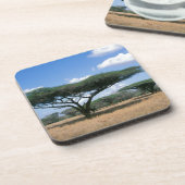 Umbrella Thorn Acacia (Acacia tortilis), Mkuze Drankjes Onderzetter (Linkerzijde)