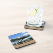 Umbrella Thorn Acacia (Acacia tortilis), Mkuze Drankjes Onderzetter (Rechterzijde)