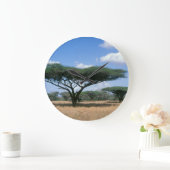 Umbrella Thorn Acacia (Acacia tortilis), Mkuze Grote Klok (Huis)