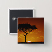 Umbrella Thorn Acacia, Acacia tortilis Vierkante Button 5,1 Cm (Voorkant /achterkant)