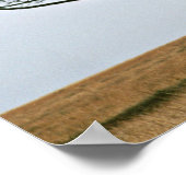 Umbrella Thorn Acacia Tree Poster (Hoek)